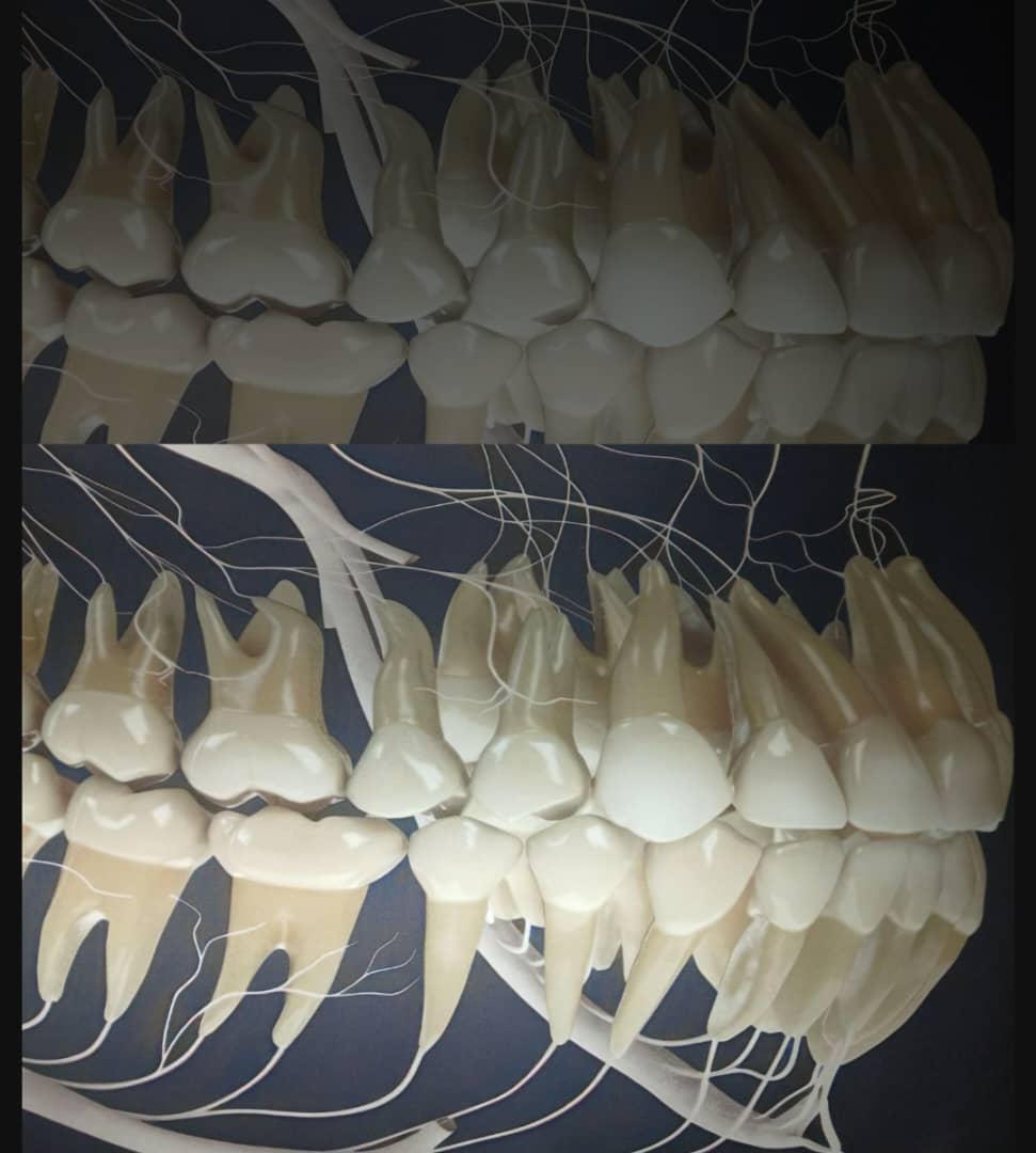 لابراتوار دندانسازی عباس بهنام پور در ملایر